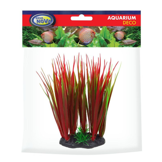 AQUA NOVA plastmasas augs sarkans/zaļš 13cm