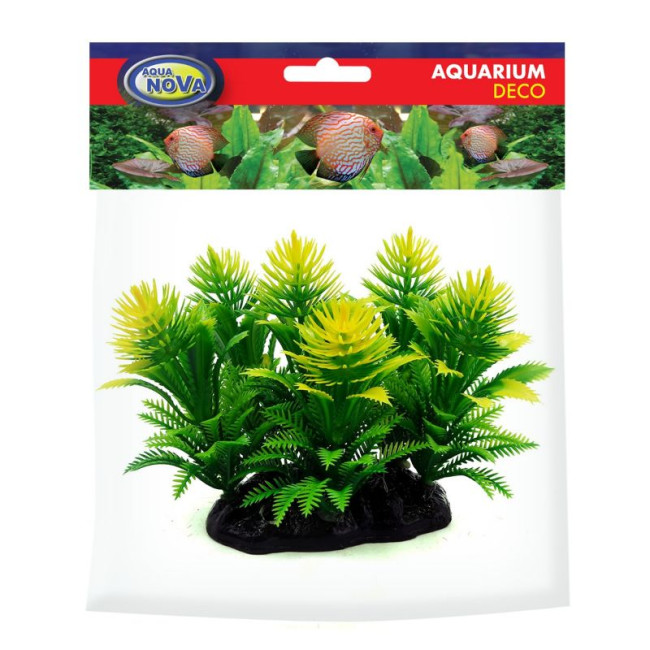 AQUA NOVA plastmasas augs zaļš/dzeltena 13cm