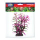 AQUA NOVA plastmasas augs Hygro Araguais 20cm