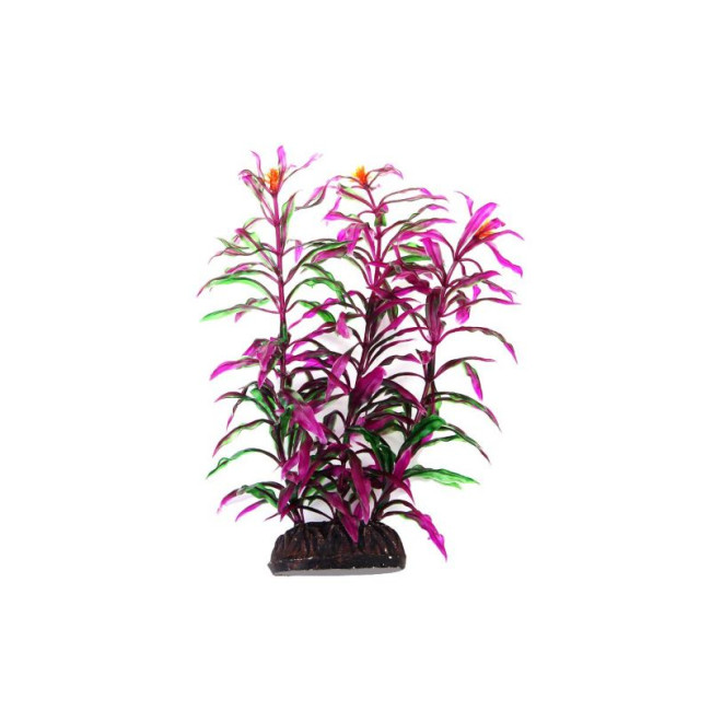 AQUA NOVA plastmasas augs Hygro Araguais 20cm