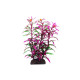 AQUA NOVA plastmasas augs Hygro Araguais 20cm