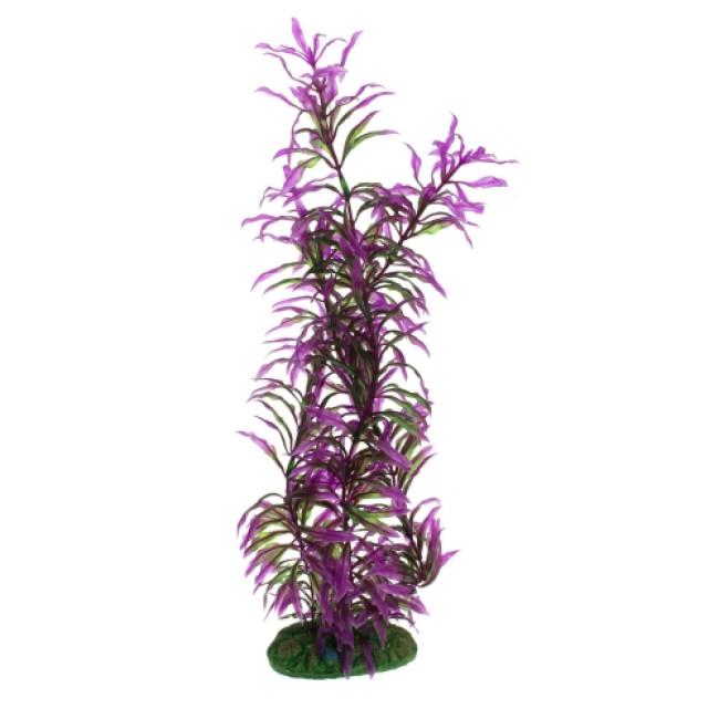 AQUA NOVA plastmasas augs 40cm