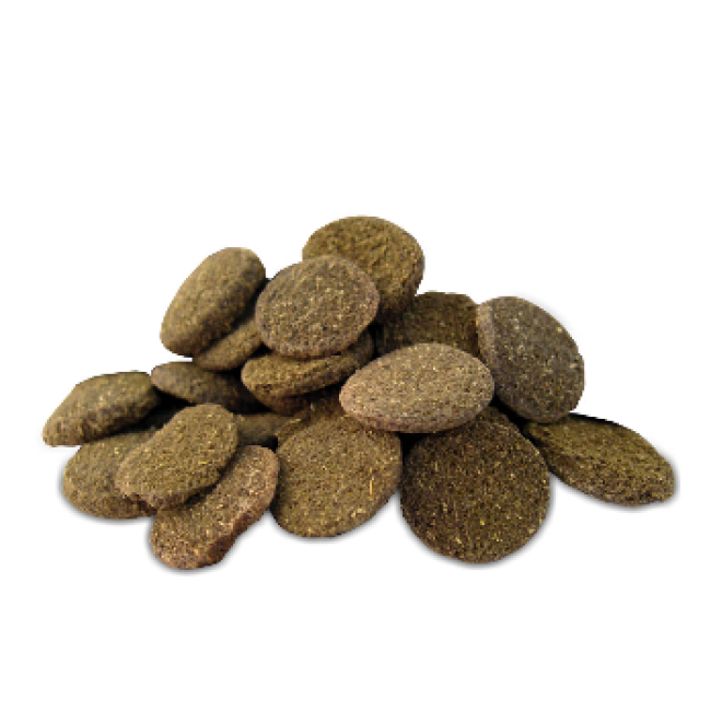 PRODAC ALGAE WAFERS augu plāksne zivīm 250ml 125g