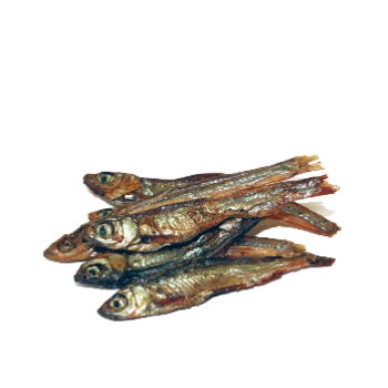 PRODAC TARTAFOOD FISH barība zivīm 1200ml 200g