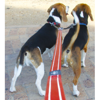 ROGZ - Divkāršs pavadiņš - melns