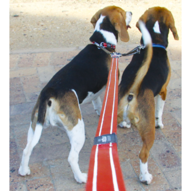 ROGZ - Divkāršs pavadiņš - melns