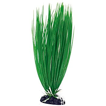 AMTRA ACORUS plastmasinis augalas vidutinis 17cm 1vnt