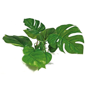 AMTRA ANUBIAS plastikinis augalas 15cm 1vnt