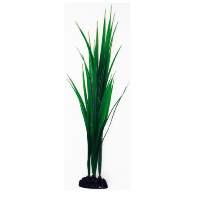 AMTRA BAMBOO augalas vidutinis 17cm 1vnt