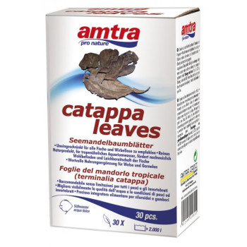 AMTRA CATAPPA lapai 30vnt