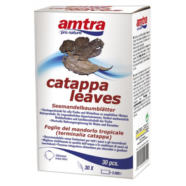 AMTRA CATAPPA lapai 30vnt
