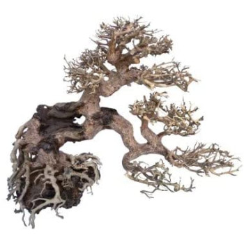 AMTRA dekoracija WOOD ORIENTAL natūralus medis 7 S