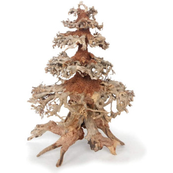 AMTRA dekoracija WOOD ORIENTAL natūralus medis 8 M