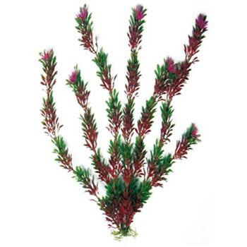 AMTRA FLORA BICOLOUR plastmasinis augalas vidutinis 17cm 1vnt