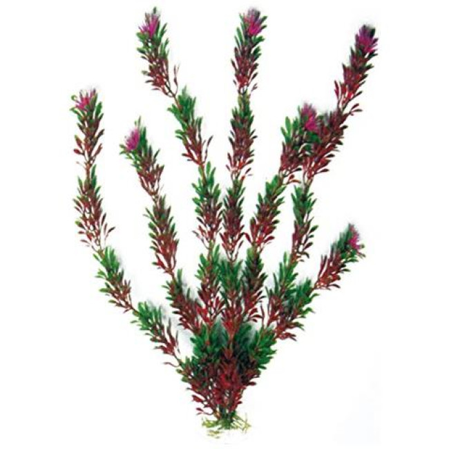 AMTRA FLORA BICOLOUR plastmasinis augalas vidutinis 17cm 1vnt