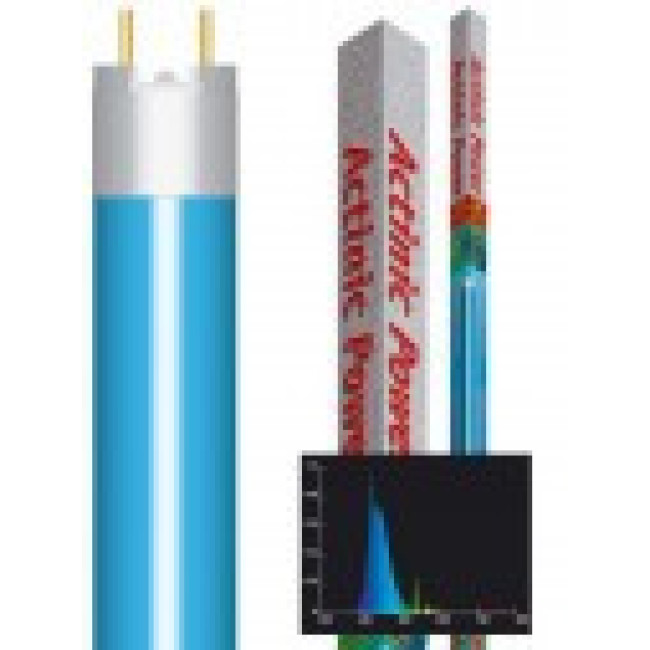 AMTRA Lempa ACTINIC POWER T8 25W (mėlyna) 750mm