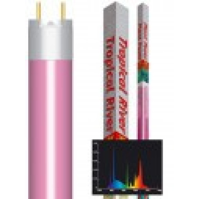 AMTRA Lampa PLANT POWER T8 38W (sarkana) 1050mm