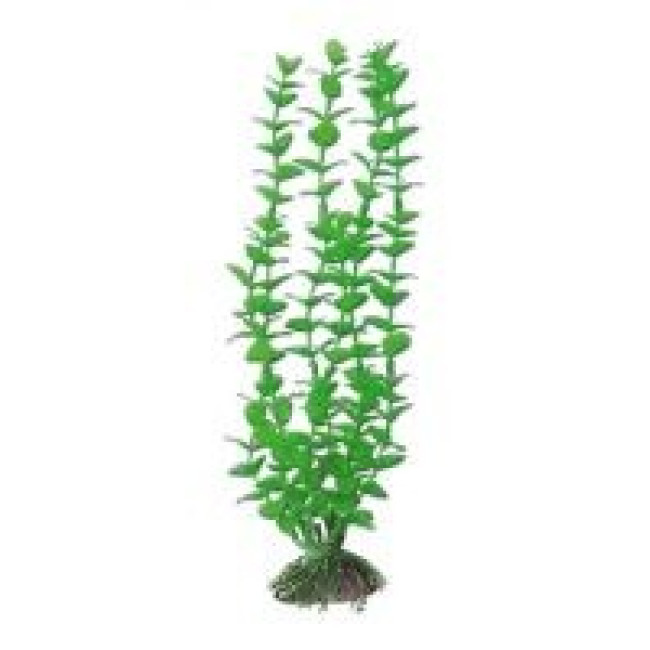 AMTRA ROTALA plastmasinis augalas didelis 23cm 1vnt