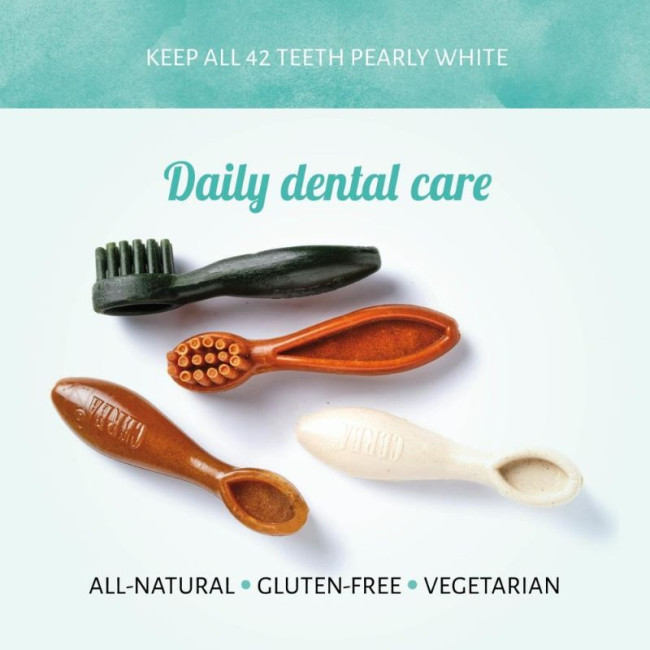 ANTOS Brush krakmoliniai šepetukai 15cm 2vnt