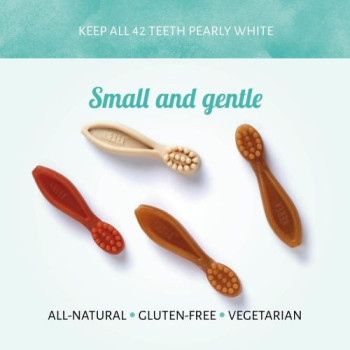 ANTOS Brushies šepetukai graužikams 100g