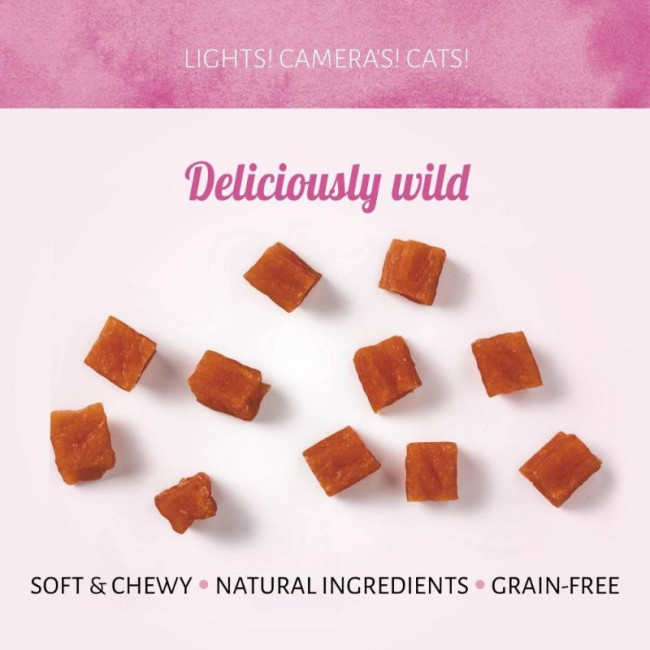 ANTOS Cubet Salmon skanėstai katėms su lašiša 50g (12)