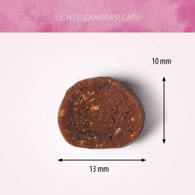 ANTOS Diced Beef skanėstai katėms su jautiena 50g (12)