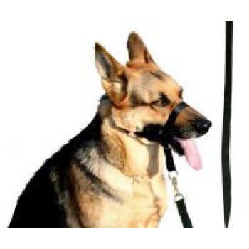 ANTSNUKIS NAILONINĖ JUOSTELĖ NR. 4