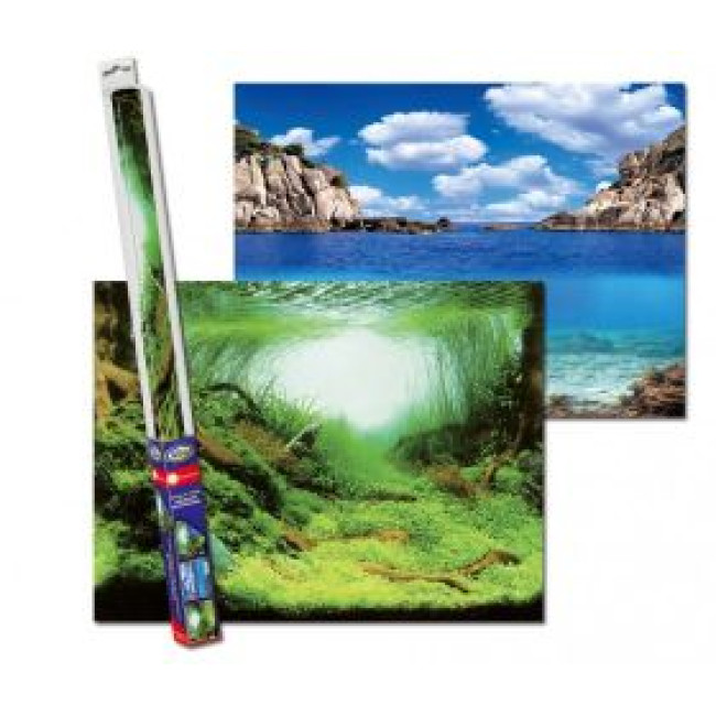 AQUA NOVA fonas augalai/vandenynas 60x30cm