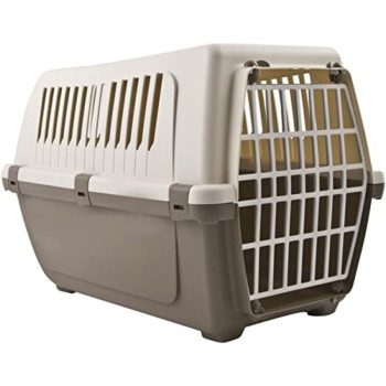 Boksas CARRIER SMALL 48*32*35cm