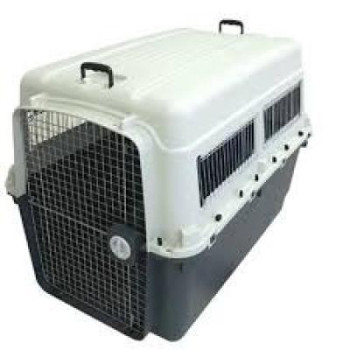 Boksas VAGABOND GIANT 122x83x90cm