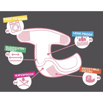 CROCI Wrappah daugkartinės kelnaitės kalėms 30-39cm S