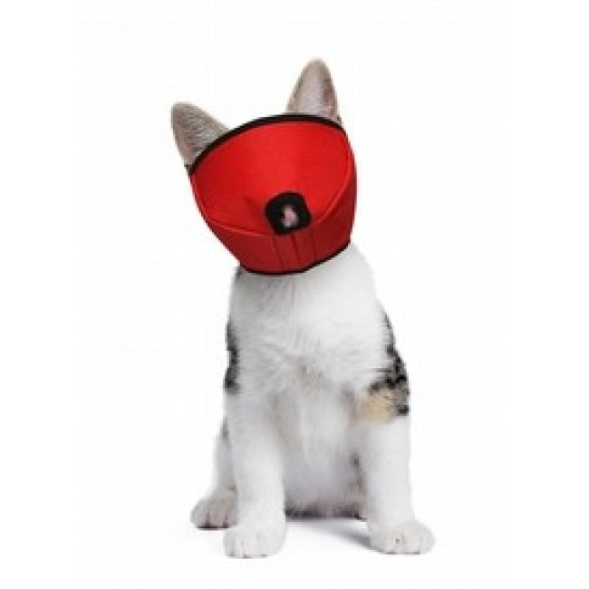 GF Antsnukis katinui oranžinis, dydis L