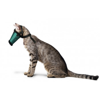 GF Antsnukis su dirželiais katei, dydis M