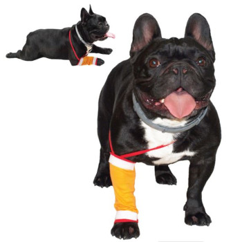 GF Dilbio ir blauzdos tvarstis 3(M)