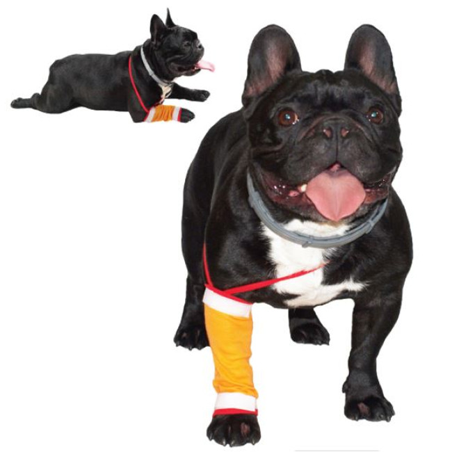 GF Dilbio ir blauzdos tvarstis 3(M)