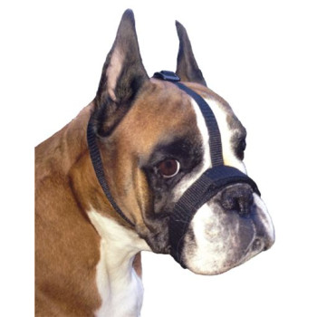 GF Reguliuojamas juostelių antsnukis M