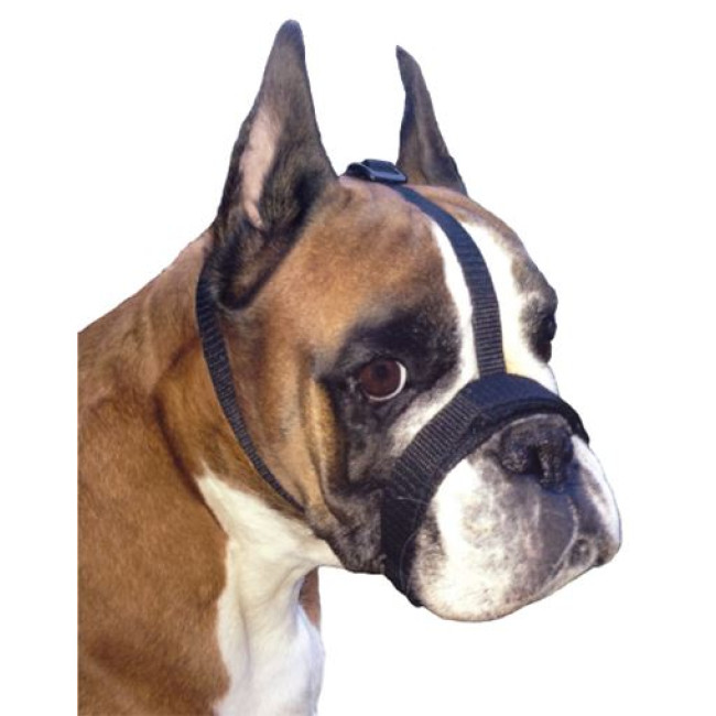 GF Reguliuojamas juostelių antsnukis XS