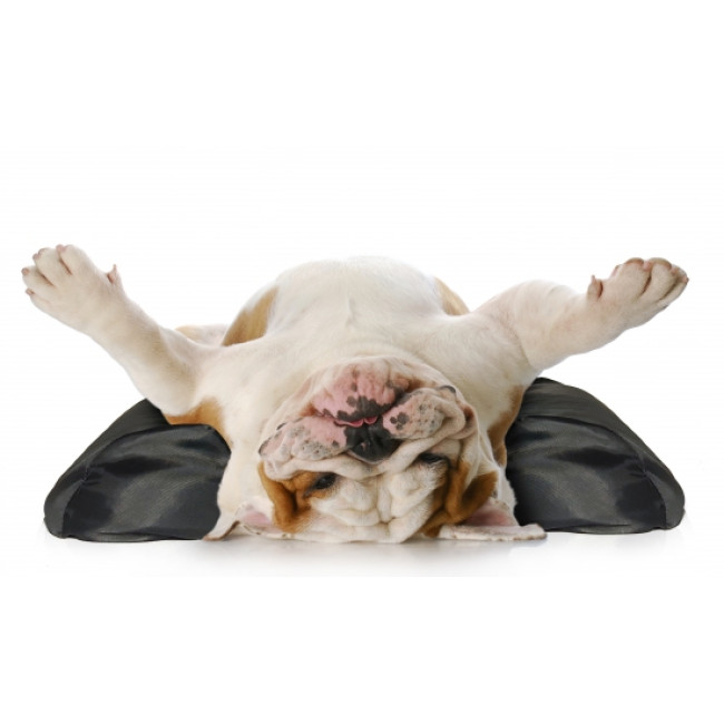 GF Stabilizatorius USG; R; 0.75kg 15/25 M