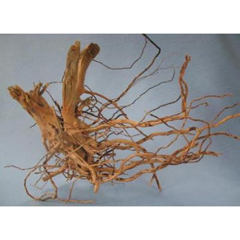 ORBIT Šaknys "Pirštai" kg