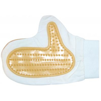 Pirštinė gyvūnų šukavimui