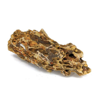 PRODAC Alveolar akmens kg (10kg)