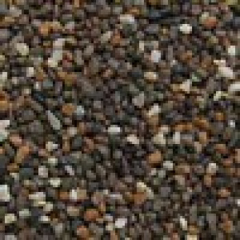 PRODAC Gruntas smulkus tamsus 25kg