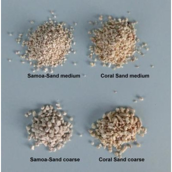 Samoa baltas argonito smėlis 3-4mm 15kg