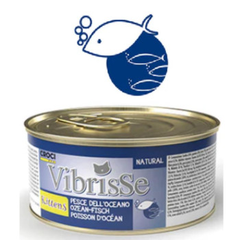 VIBRISSE kons. kačiukam su žuvimi 70g 12vnt (24)