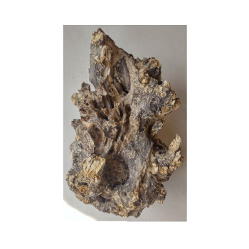 ORBIT Barico-wurzel medžio kamienas M 20-30cm