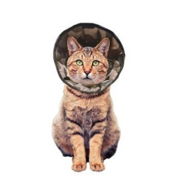 GF Pooperacinė apykaklė moro S 20-24cm