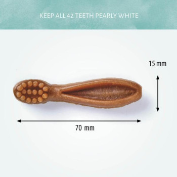 ANTOS Brush Mixed cietes suku 58gab (6)