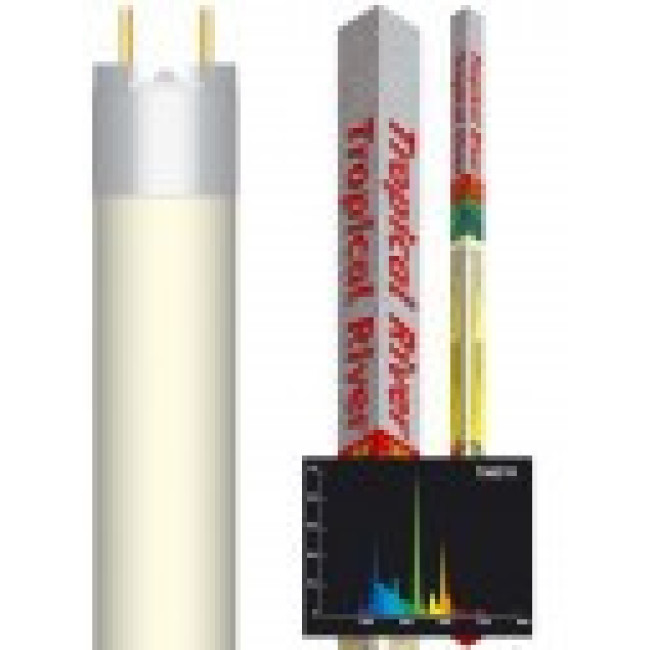 AMTRA Lempa TROPICAL RIVER T8 25W (balta) 750mm